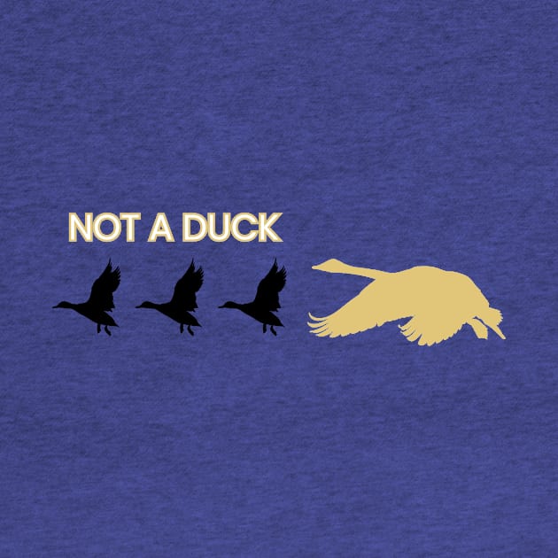 Not a Duck by The Autistic Culture Podcast
